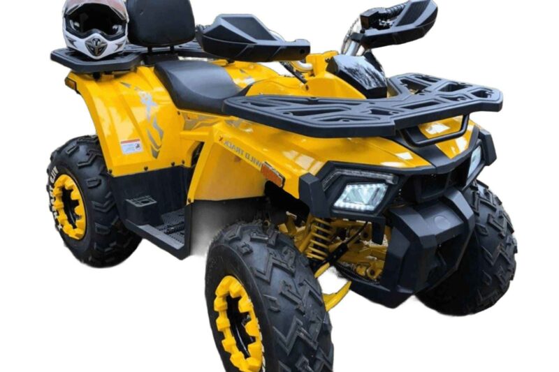 Motoland Wild Track 200X